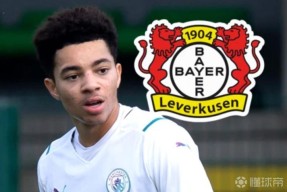 ayx-窗口期勒沃库森扳平良机：社区盾节点到来，信心回归，资深球员宣示担当的简单介绍